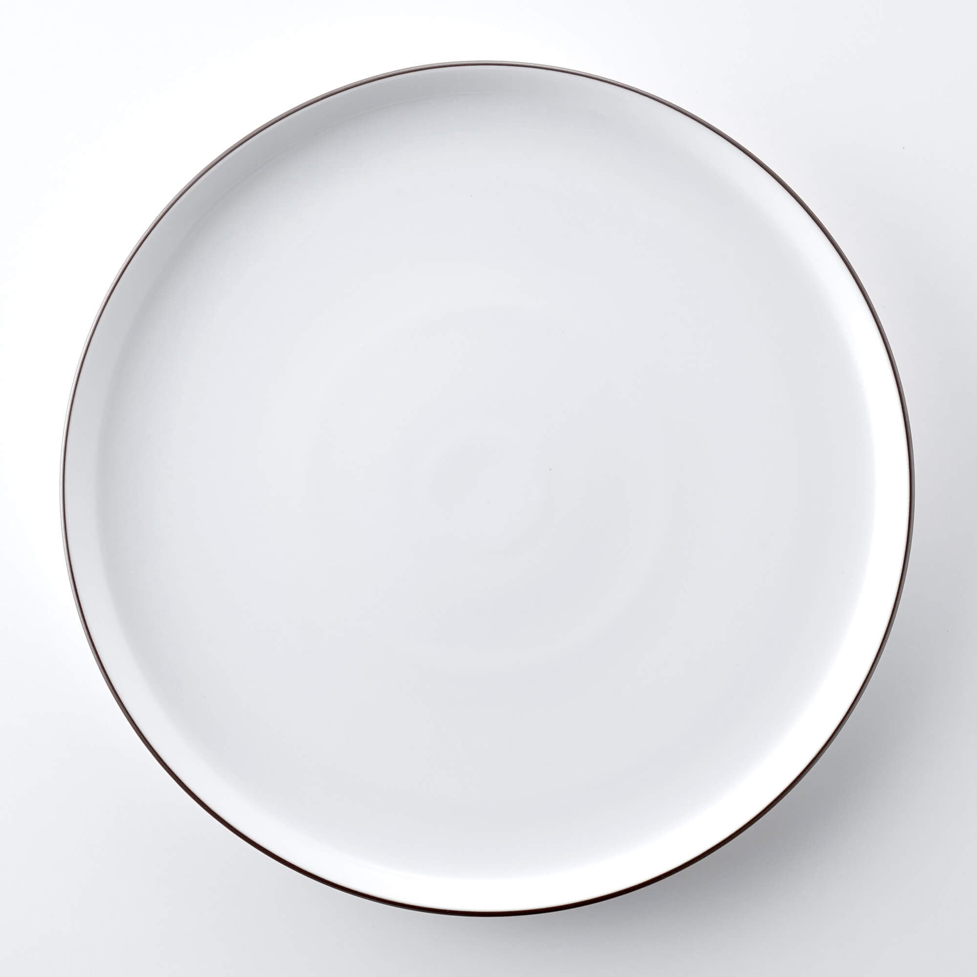 days_31-plate_whi_ts2000.jpg?v