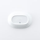 チャイルド 楕円鉢 森の詩