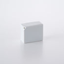 コンディメント 塩入れ 白磁