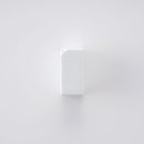 コンディメント 塩入れ 白磁