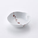 一本つる草 多用鉢 赤