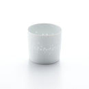 レリーフホタル ロックカップ スプラッシュ