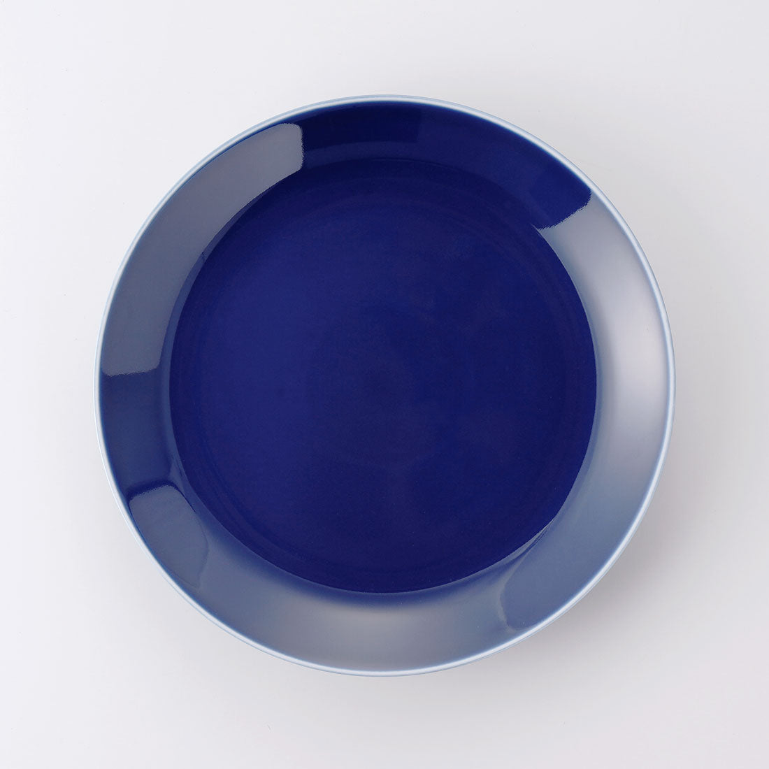 vista_plate-l_blu_ts1100.jpg?v