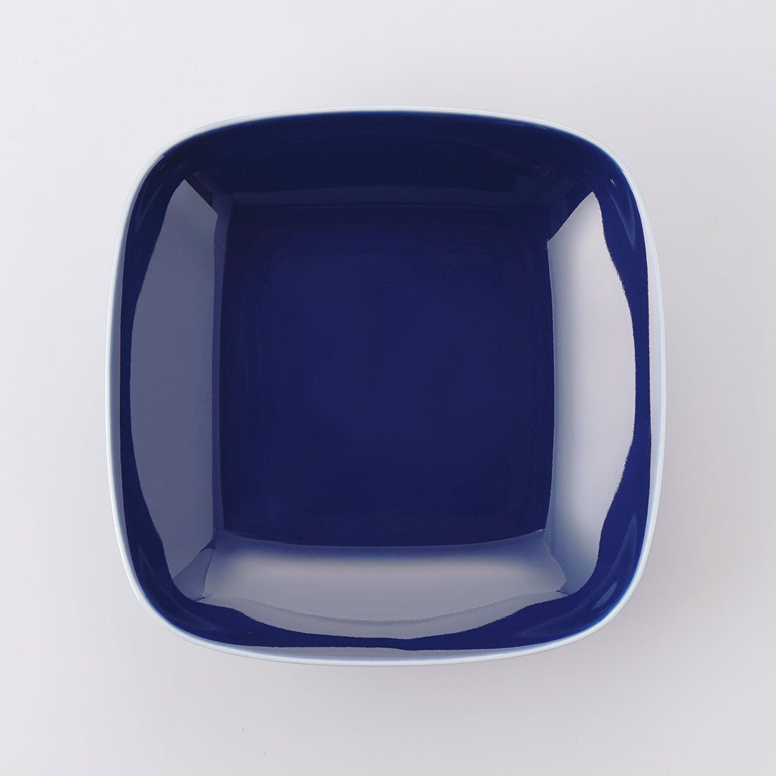 vista_squaredish-l_blu_ts1100.