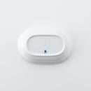 チャイルド 楕円鉢 フルール ピンク