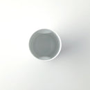 ファンシーカップ B