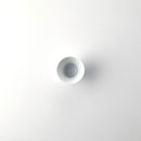 ミストホワイト 盃(大)