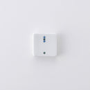 ピチカート はしおき