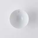 ピチカート お茶わん(小)